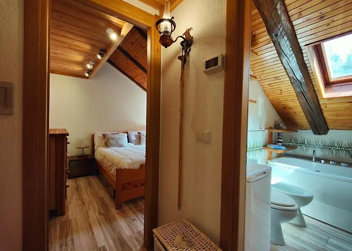 Apartament Hostdomus - Bouvier